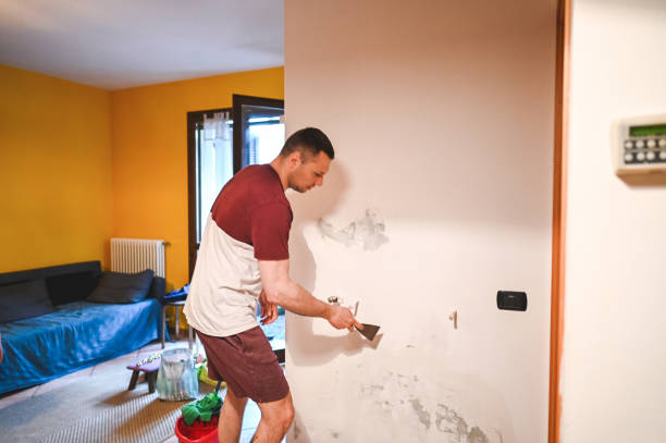 Best Water Damage Restoration  in Dora, AL